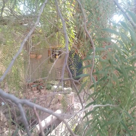 מלון טיליקארה La Casita מראה חיצוני תמונה