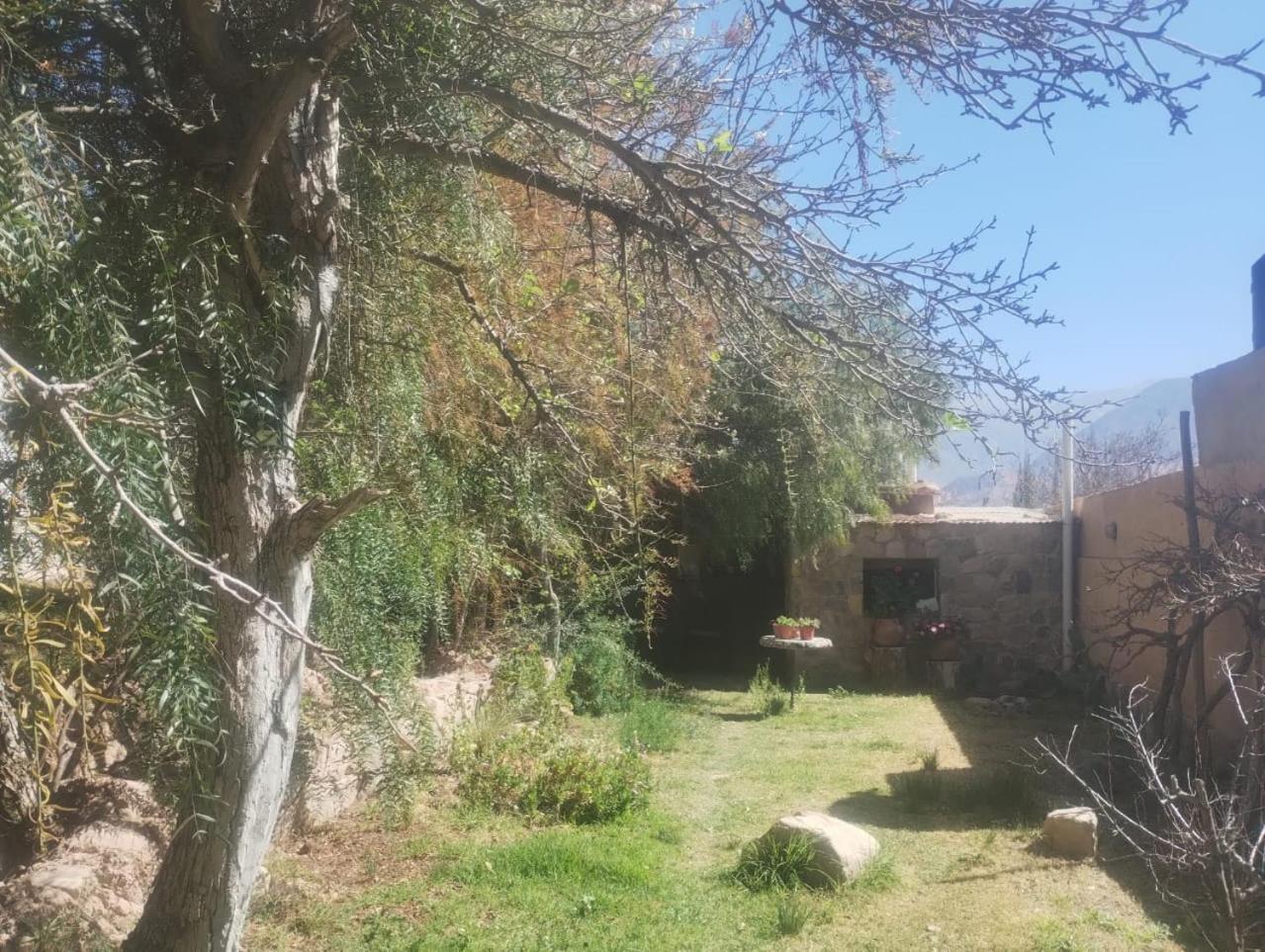 מלון טיליקארה La Casita מראה חיצוני תמונה