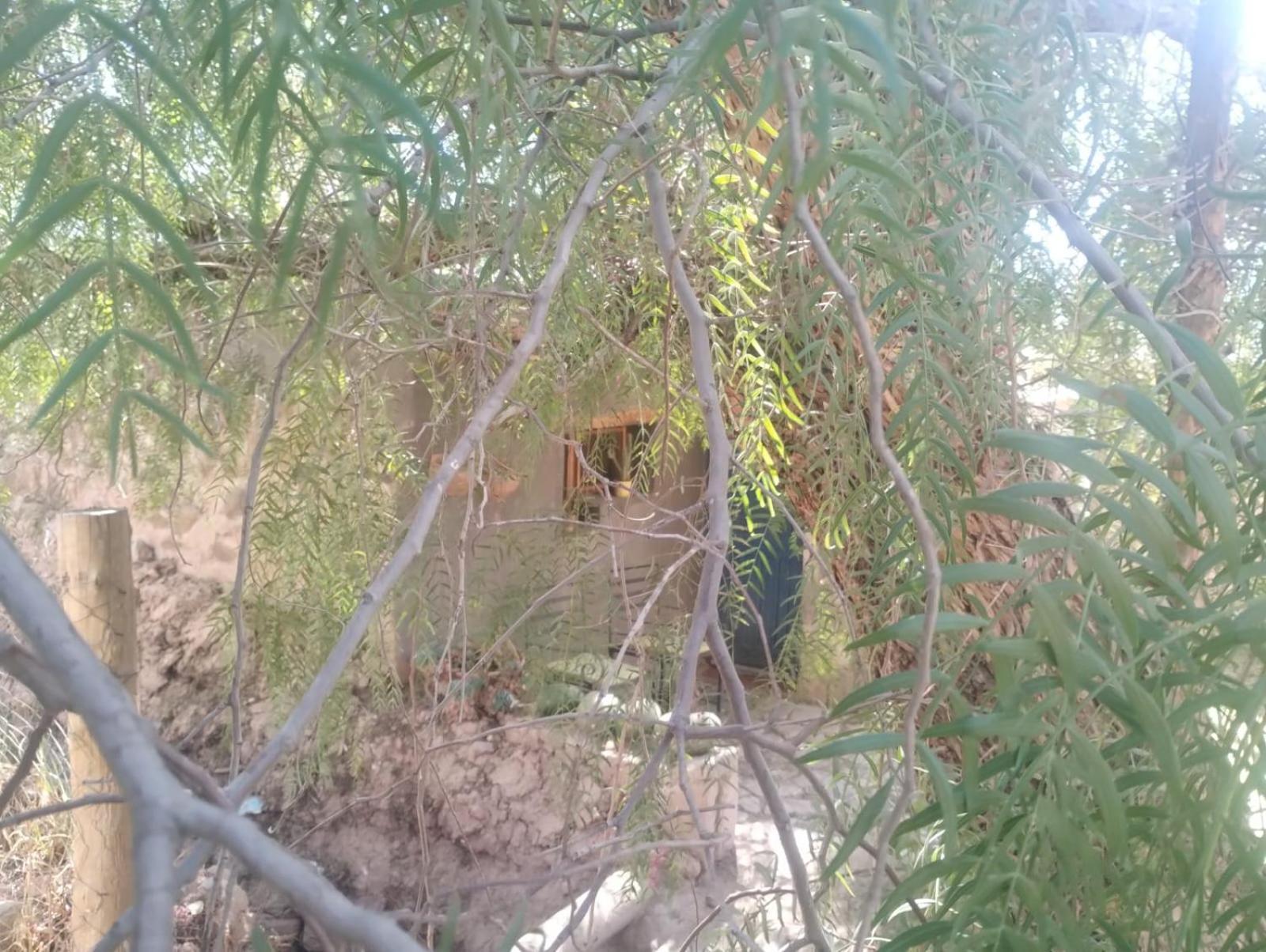 מלון טיליקארה La Casita מראה חיצוני תמונה