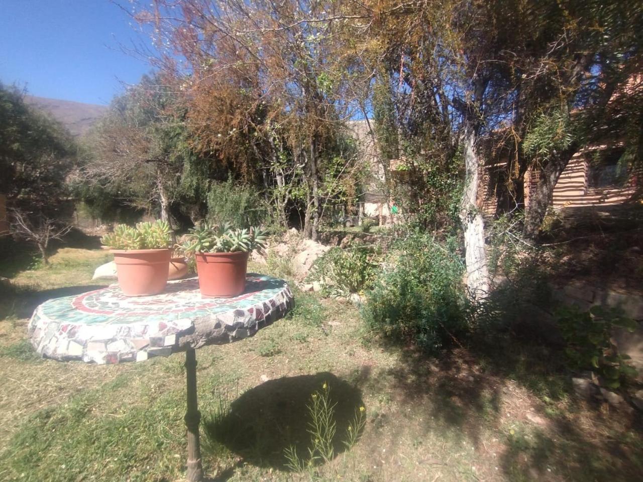 מלון טיליקארה La Casita מראה חיצוני תמונה