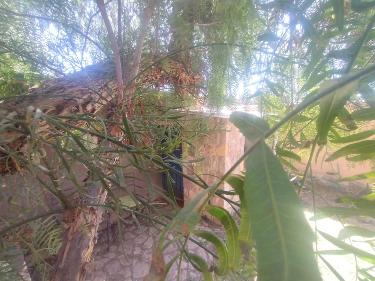 מלון טיליקארה La Casita מראה חיצוני תמונה