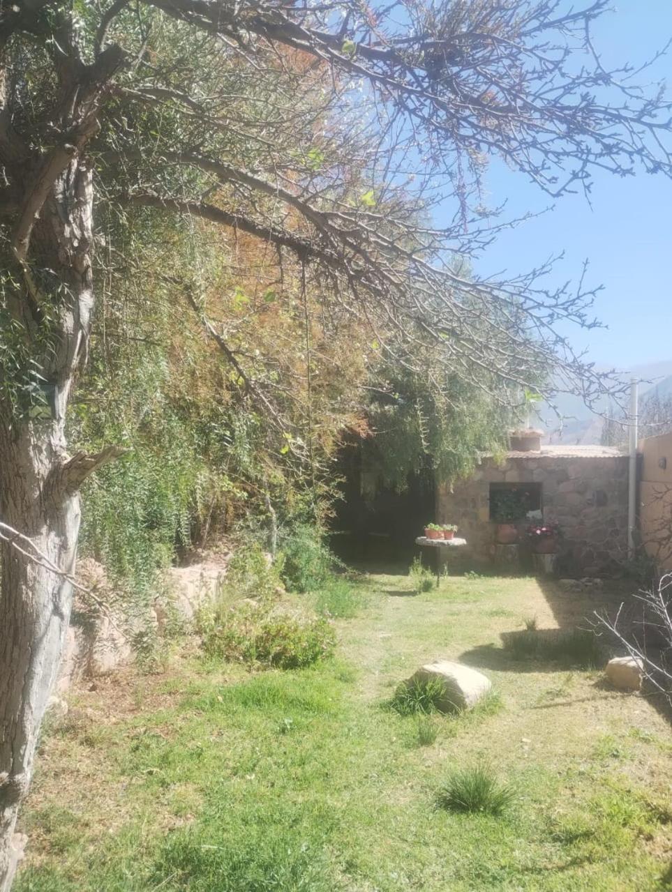 מלון טיליקארה La Casita מראה חיצוני תמונה