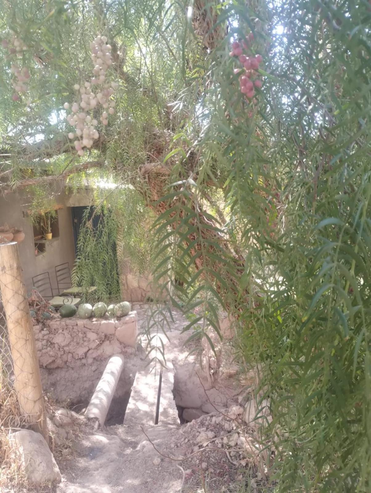 מלון טיליקארה La Casita מראה חיצוני תמונה