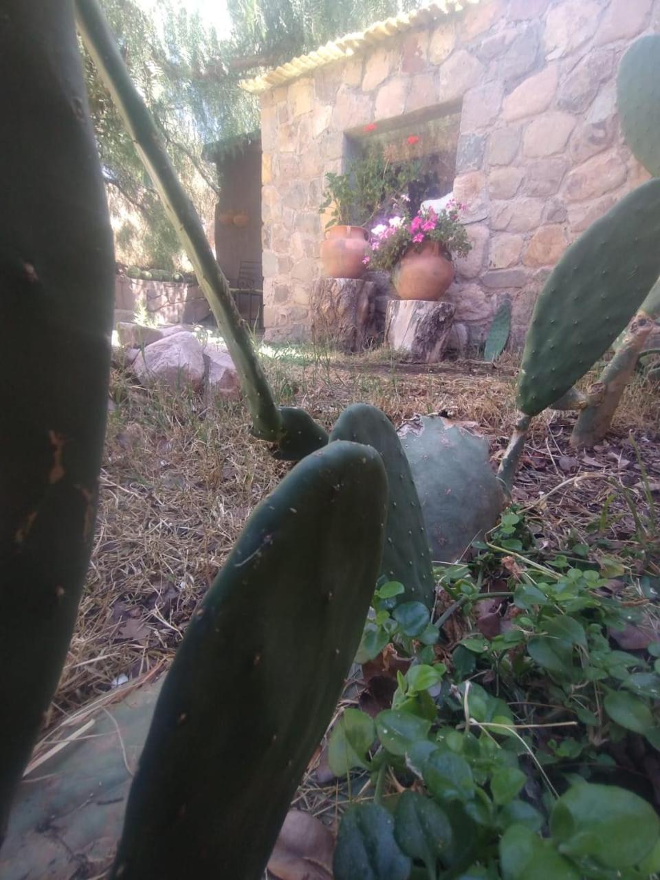 מלון טיליקארה La Casita מראה חיצוני תמונה