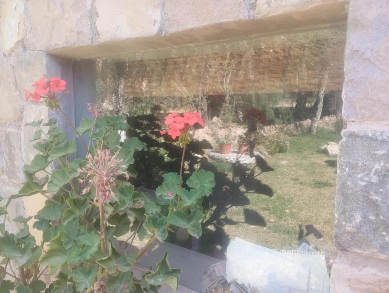 מלון טיליקארה La Casita מראה חיצוני תמונה
