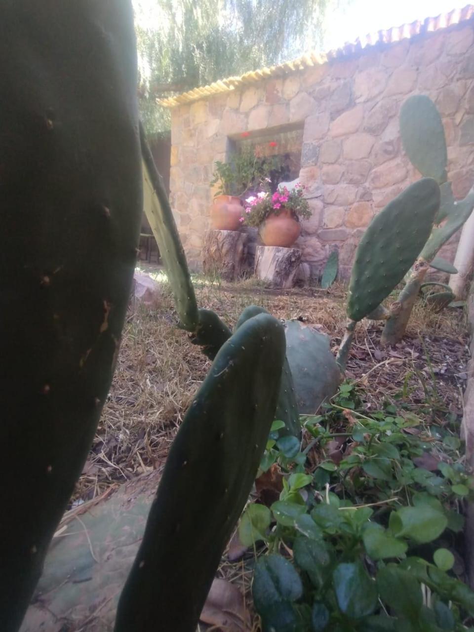 מלון טיליקארה La Casita מראה חיצוני תמונה