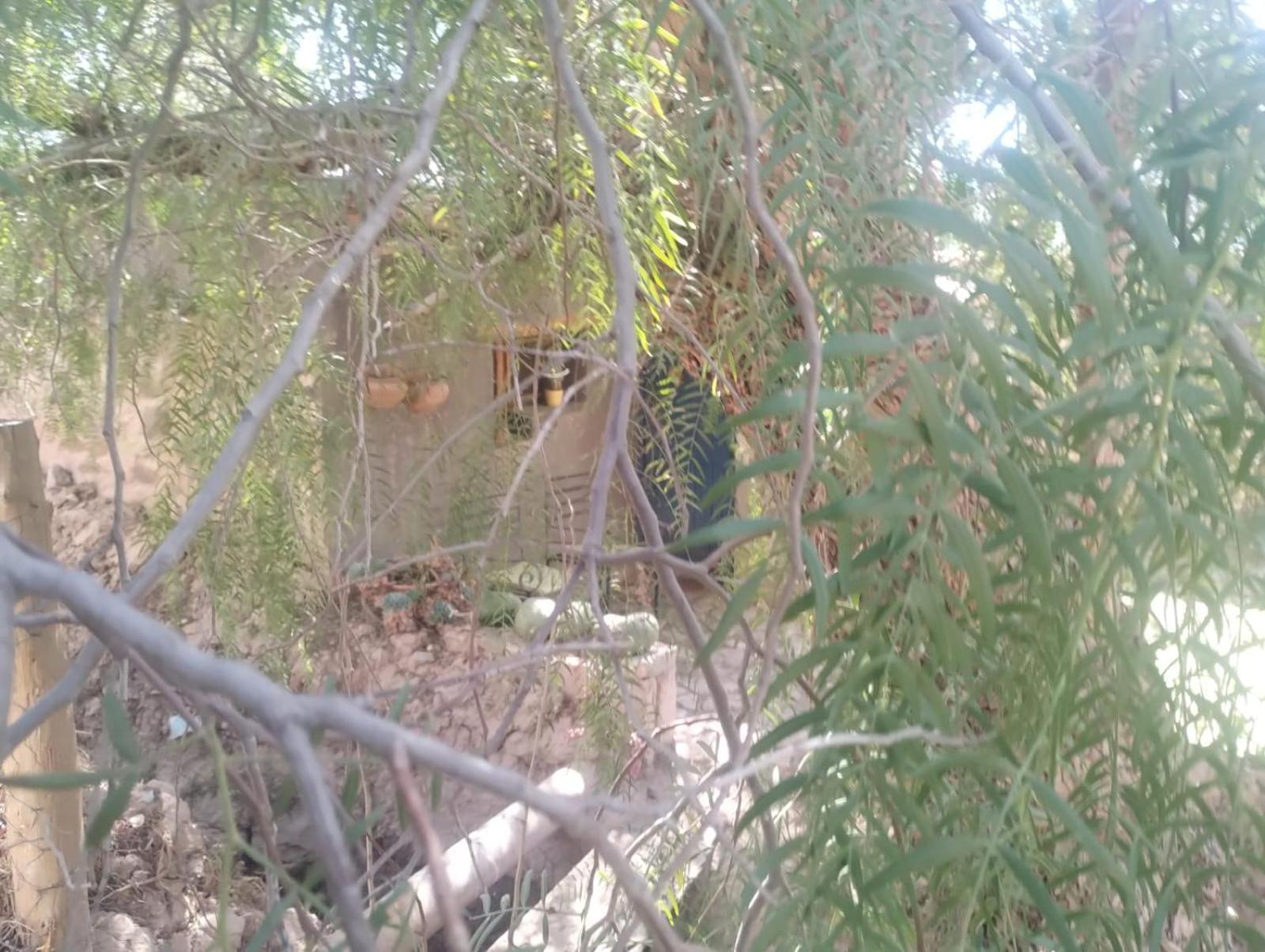 מלון טיליקארה La Casita מראה חיצוני תמונה