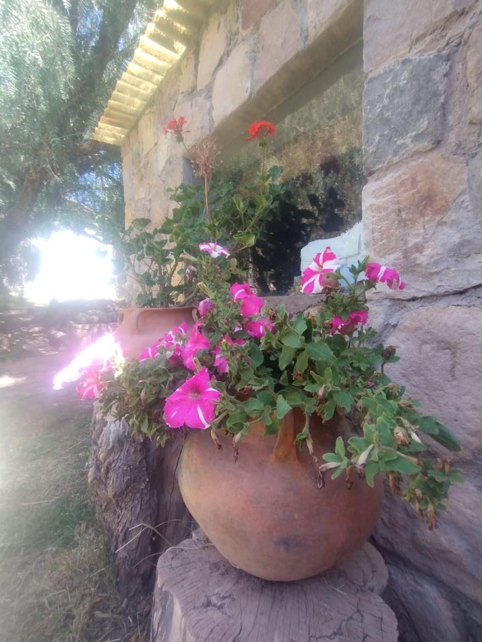 מלון טיליקארה La Casita מראה חיצוני תמונה