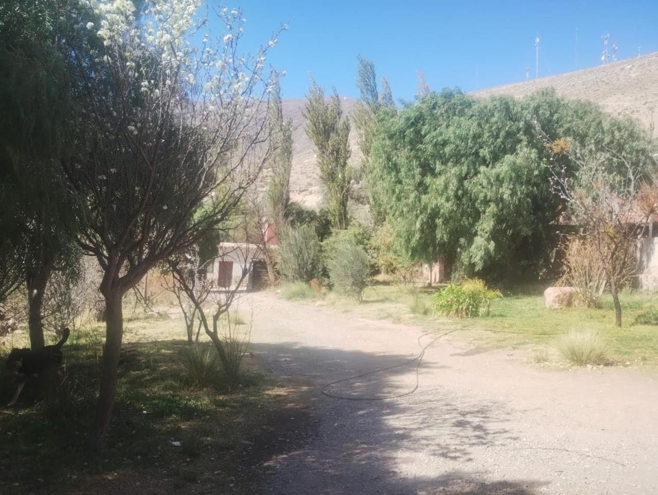 מלון טיליקארה La Casita מראה חיצוני תמונה