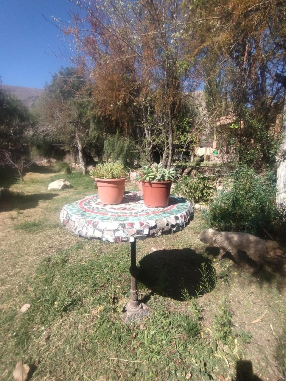 מלון טיליקארה La Casita מראה חיצוני תמונה